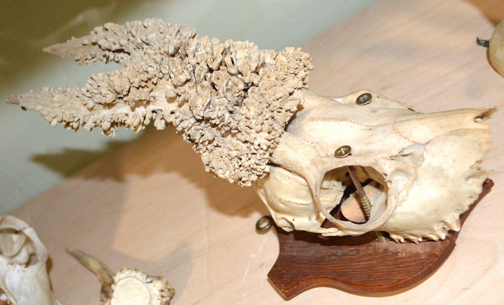 Prüfungsvorbereitung